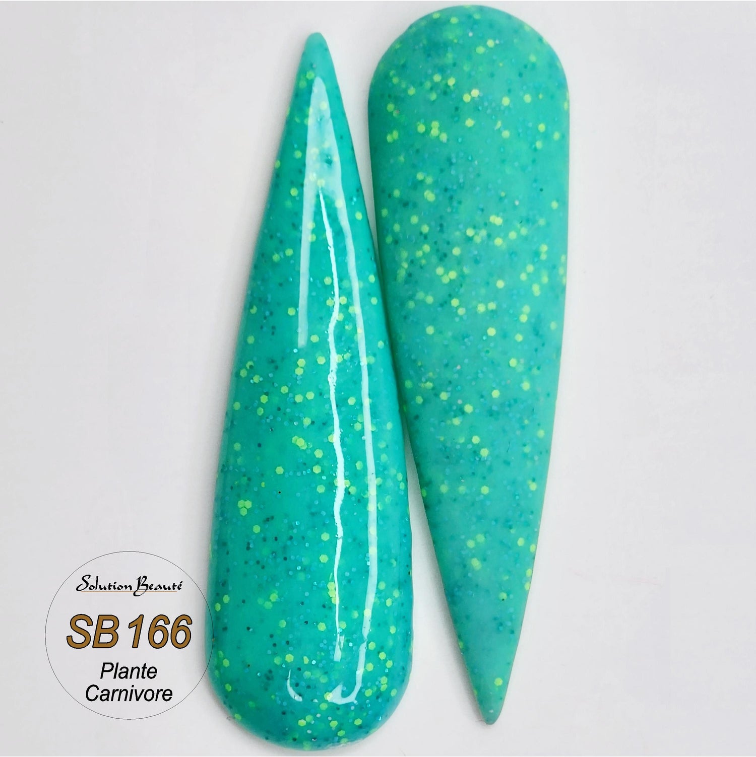 166 - Poudre Plante Carnivore 1oz