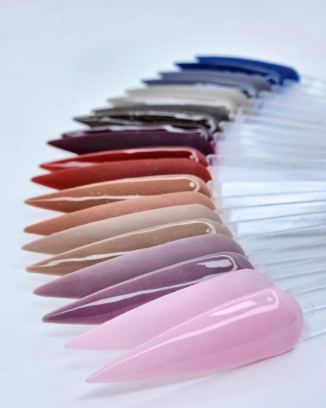 Collection Poudre Festivité Automnale (10 x 1oz)