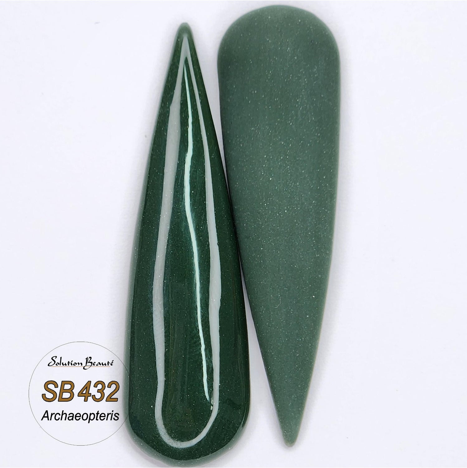 432 - Poudre Archaeopteris 1oz