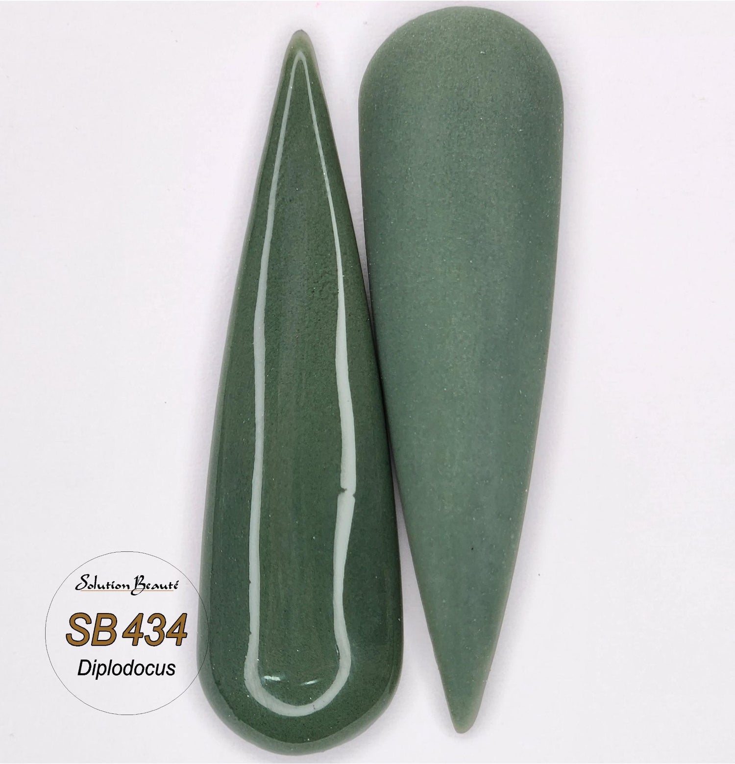 434 - Poudre Diplodocus 1oz