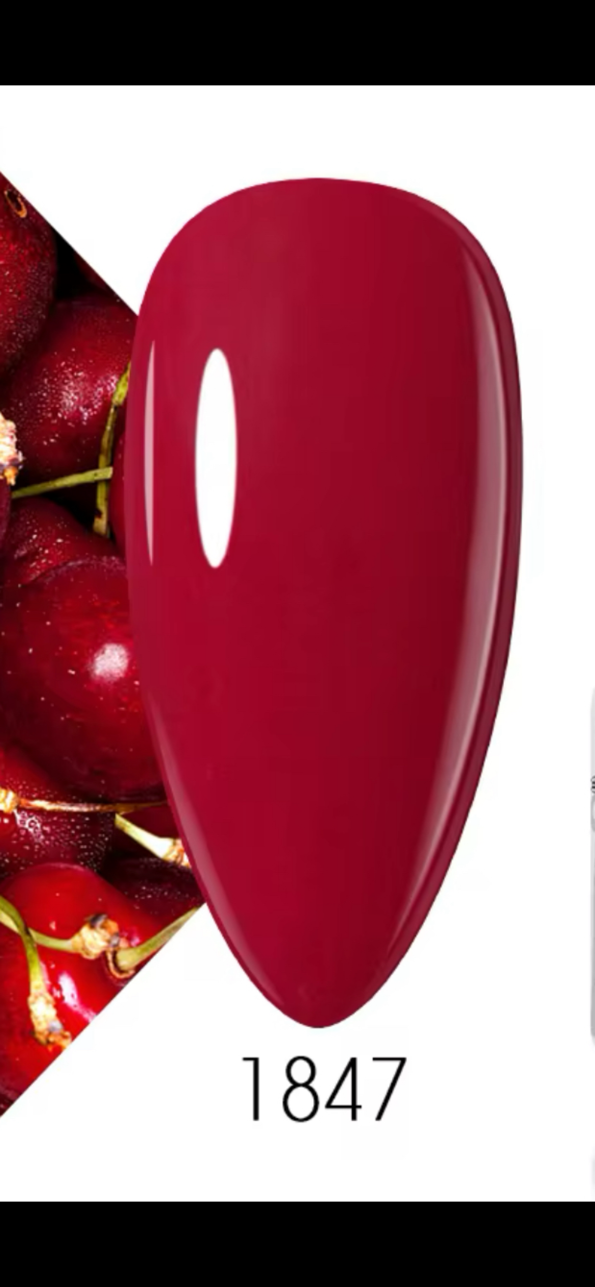 Arte Clavo UV Varnish 15ml 