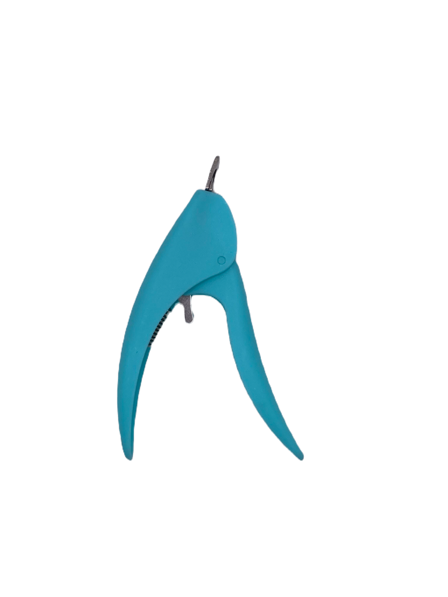 Coupe Prothèses Bleu en Plastique