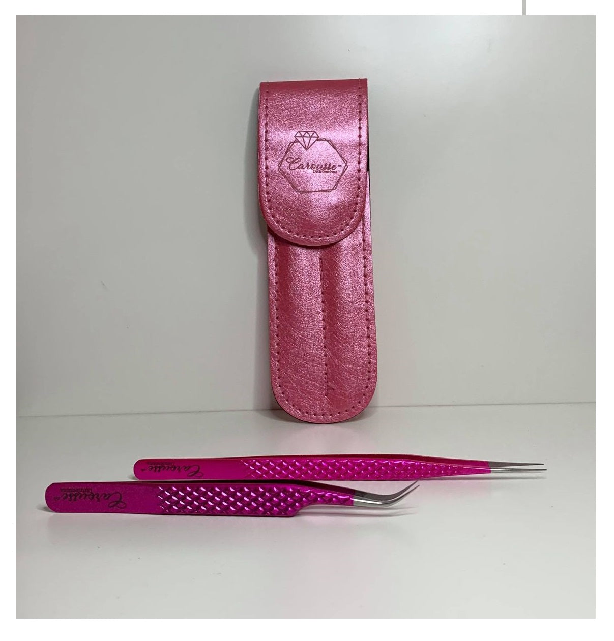 Carousse Set of 2 Clips with Pink Case