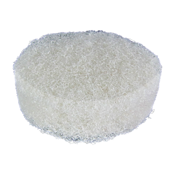 Rough Sponges / Scrub