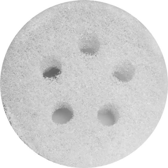 Rough Sponges / Scrub