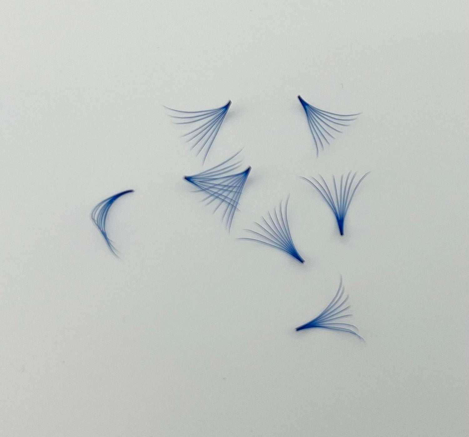 Innovacils Cils 8D Promade Bleu