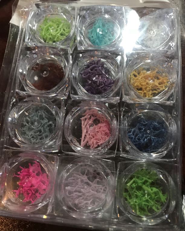 Décos Pots Coraux Ens. de 12 Couleurs