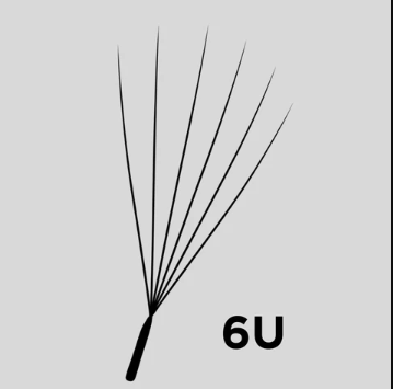 Tini Cils 6U CC 0.06 - Noir - Nouveau